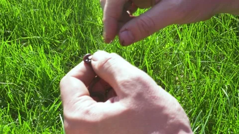 Fisherman puts a red worm on the hook Stock Footage 169306293