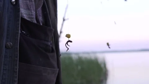 Fisherman puts worms as bait for the fish on the hook rod Video stock 78309562