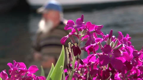 Fisherman rearranging nets Video stock 37310985