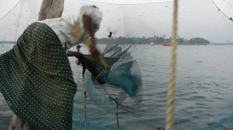 Fisherman removes fish from net Stock Footage 10594489