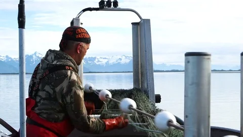 Fisherman removing log trapped in the net Stock Footage 83182618