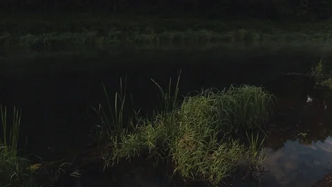 Fisherman on the river bank Stock-Footage 100809447
