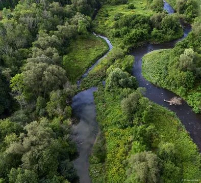 Fisherman in the river Stock-Fotos