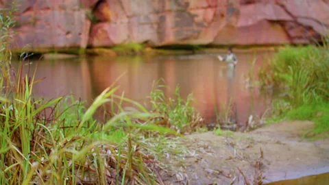 Fisherman on the river slow motion Video stock 141213567