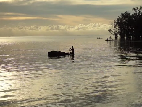 Fisherman rowing bot Stock Footage 121846444