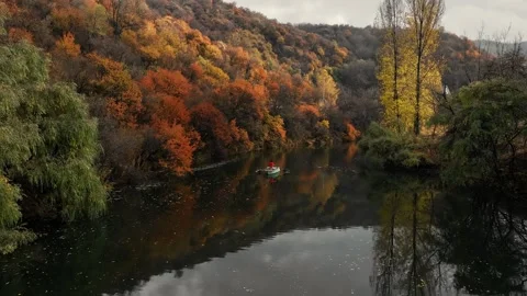 Fisherman rowing on calm river surrounded by colorful autumn trees Stock Footage 315558793
