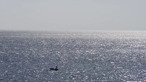 Fisherman on the sea Stock Footage 79684395
