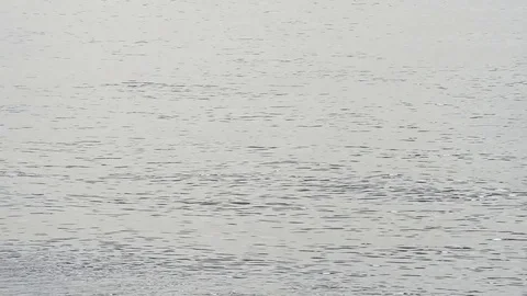 Fisherman on the sea Stock Footage 82601088