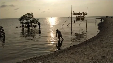 Fisherman in the sea Stock Footage 263137498