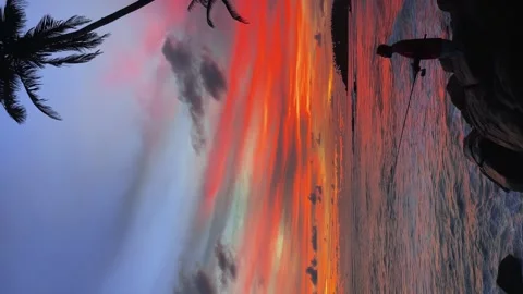 A fisherman on the seashore next to palm trees against the background of a fiery Stock Footage 276085481