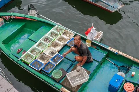 Fisherman Selling His Fish, China Stock Photos