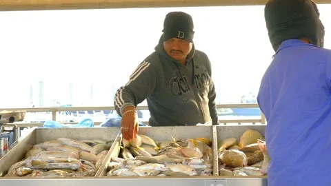 Fisherman setting up their counter Video stock 125321074