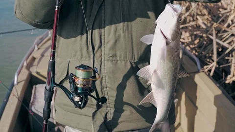 Fisherman shows caught predatory fish Stock Footage 127329966