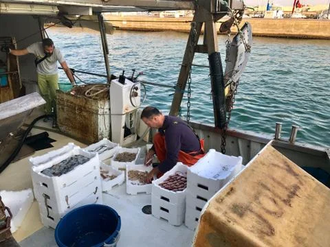 A fisherman is sorting his catch on an anchored fishing-boat Stock Photos