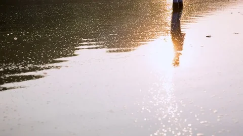 A fisherman standing in the middle of a river and catching fish Stock Footage