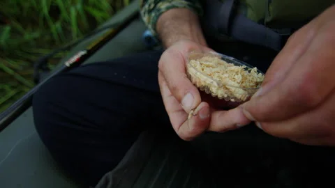 A fisherman strings maggots on a hook before starting fishing Stock Footage 248441339