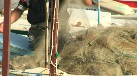 Fisherman taking fish from net Stock Footage 288476