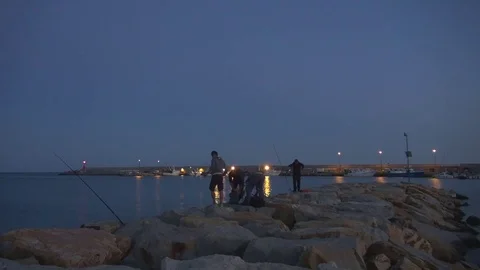 Fisherman team group caught fish by angling rod at twilight relaxation activity Stock Footage 84714842