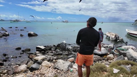 Fisherman throwing fish scraps into the sea with seabirds diving for food Stock Footage 335883010