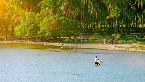 Fisherman throwing net in shallow river water. Sri Lanka Stock Footage 73775673