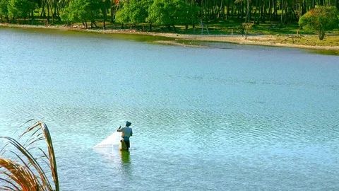 Fisherman throwing net in shallow river water. Sri Lanka Stock Footage 73775764