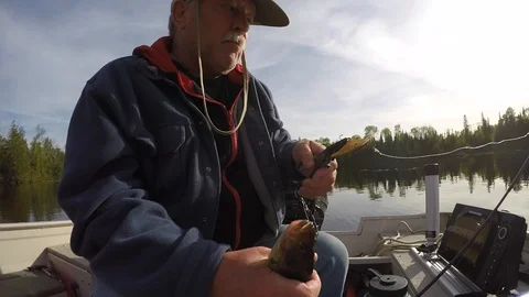 Fisherman throws back tiny fish Stock Footage 88566100