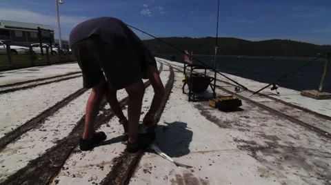 Fisherman throws shark into ocean Stock Footage 49848606