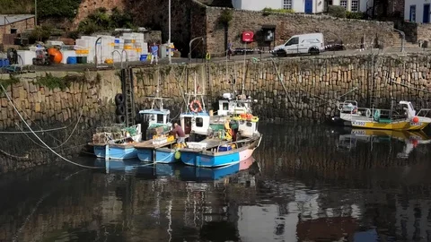 Fisherman unloading catch in Crail Harbour Fife Scotland 動画素材 114597491