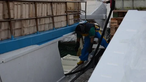 Fisherman unloading the goods from the boat Stock Footage 73007785