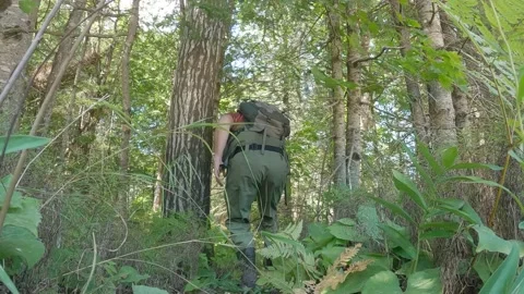Fisherman in Waders Walking Through Green Forest With Fishing Pole In Hands Stock Footage 220037786