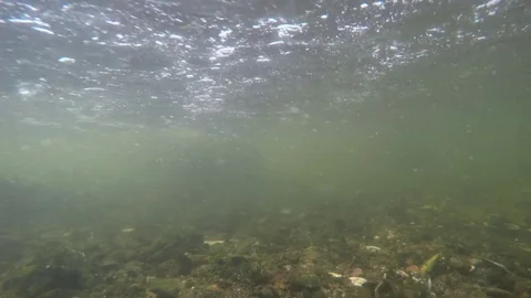 Fisherman walks in stream underwater Stock Footage 80373578