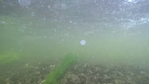 Fisherman walks in waders underwater Stock Footage 80373666