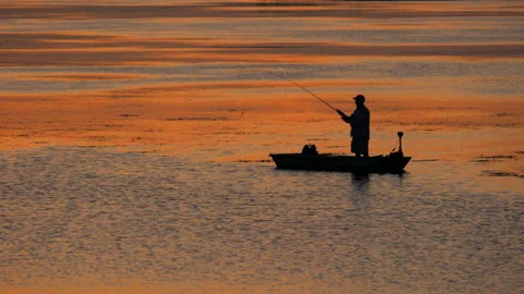 FISHERMAN IN WETLANDS Stock Footage 228743446