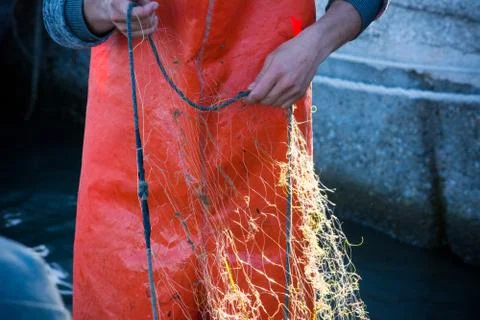 Fisherman while cleaning the fishnet from the fish Stock Photos