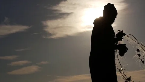 Fisherman working net sunset 2 Stock Footage 78638939