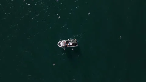 Fisherman working on a small boat in deep blue waters with seagulls flying Stock Footage 295269753