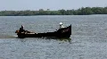 Fishermans. Danube HD Footage