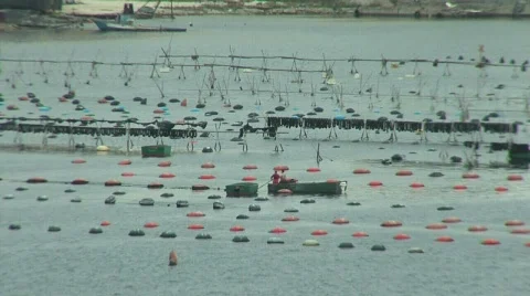 Fishermans Stock Footage 845568