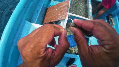Fisherman's hands carefully baiting a hook with fresh bait on a small boat at Vídeos de archivo 339070999