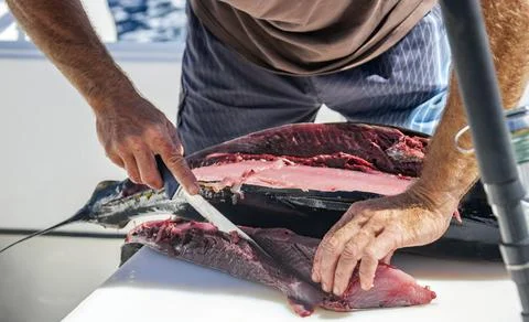 Fisherman's hands with knife when processing tuna meat after fishing. Stock Photos
