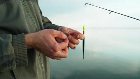 The fisherman's hands put the bait on the hook. Fishing with earthworms. Stockbeeldmateriaal 334648709