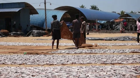 Fishermans in Sri Lanka Stockbeeldmateriaal 175868190