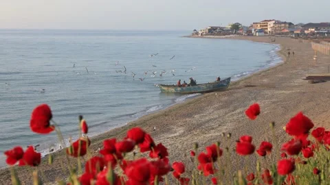 Fisherman's Vama Veche Stock Footage 156502610