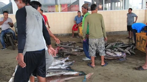Fishermen activities loading the catch of fish at the fish auction Stock Footage 151642222
