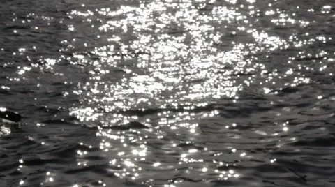 Fishermen against sunlight Stock Footage 59514606