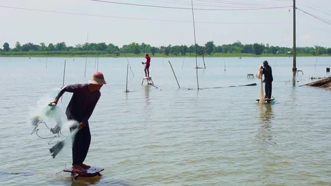 Fishermen are catching fish with nets. Slow motion Stock Footage 92289142
