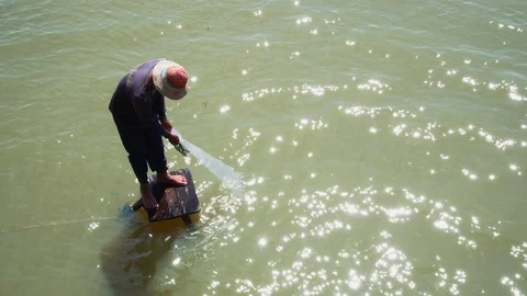 Fishermen are catching fish with nets. Stock Footage 92576165