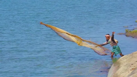 Fishermen are catching fish with nets in the river. Stock Footage 230948974