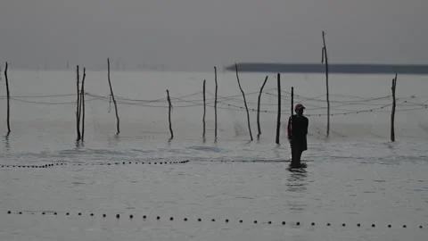 Fishermen are dragging their nets to catch fish on the coast. Видео 131605365