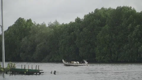 Fishermen are looking for fish 5 Stock Footage 312339207